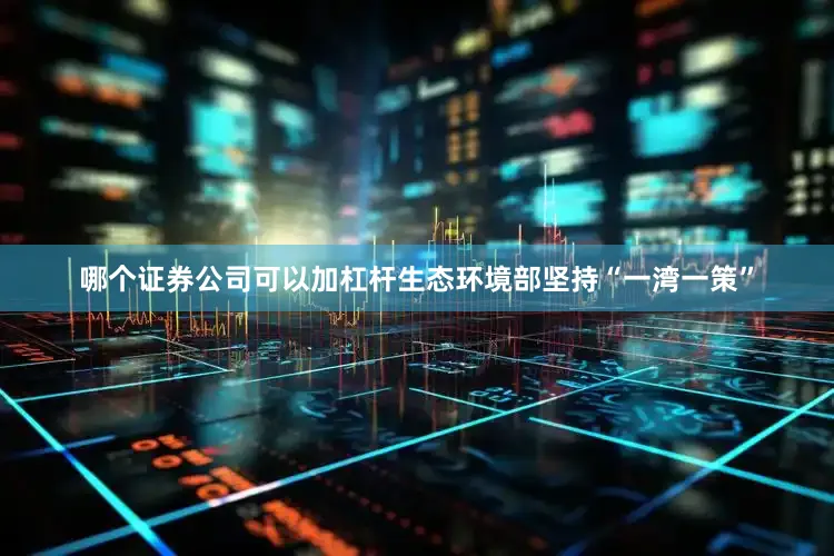 哪个证券公司可以加杠杆生态环境部坚持“一湾一策”
